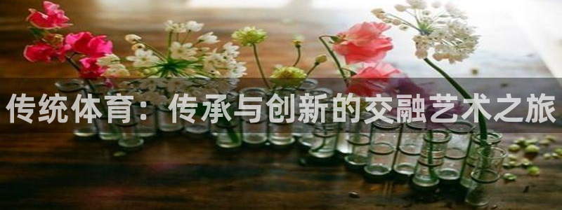 尊龙官方正版app娱乐平台：传统体育：传承与创新的交