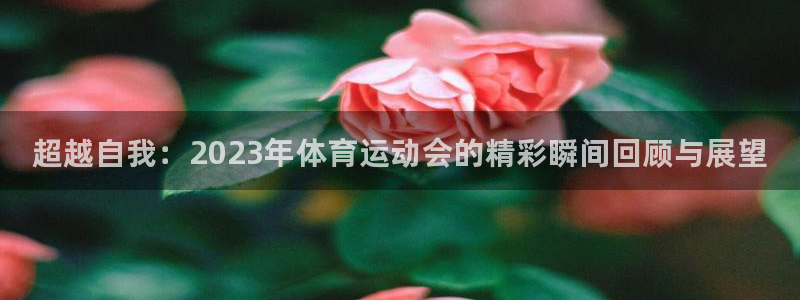 尊龙官网下载平台是正规平台吗安全吗：超越自我：202