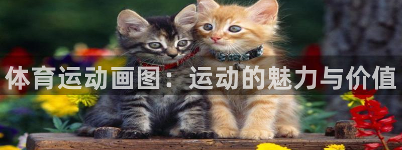 尊龙官网下载：体育运动画图：运动的魅力与价值