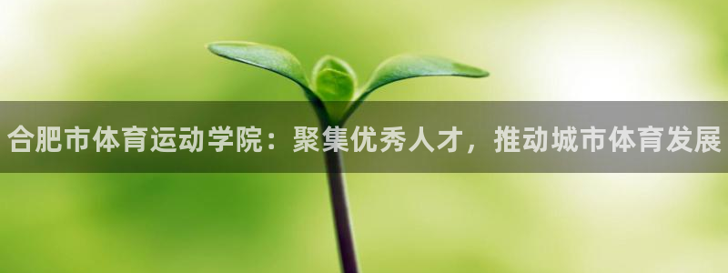 尊龙官方正版app娱乐首页官网下载：合肥市体育运动学