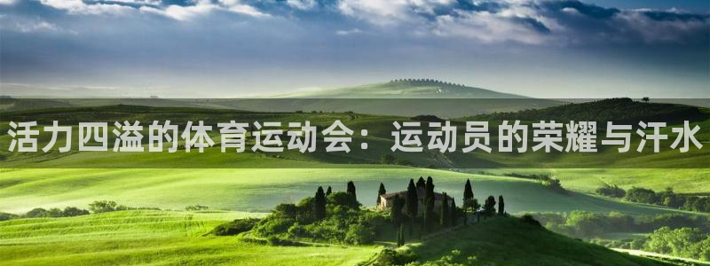 尊龙官网下载平台注册流程视频：活力四溢的体育运动会：
