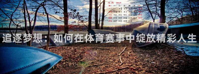 尊龙官网下载平台：追逐梦想：如何在体育赛事中绽放精彩