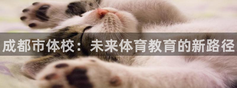 尊龙官网下载平台注册流程图：成都市体校：未来体育教育的新路径