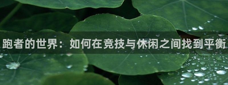 尊龙官网下载招商电话号码查询：跑者的世界：如何在竞技与休闲之