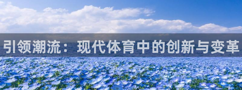 尊龙官方正版app集团官网首页网址：引领潮流：现代体