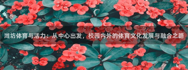 尊龙官方正版app集团官网网址：潍坊体育与活力：从中心出发，