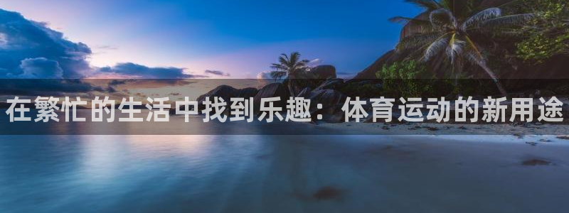 尊龙官方正版app娱乐下载：在繁忙的生活中找到乐趣：