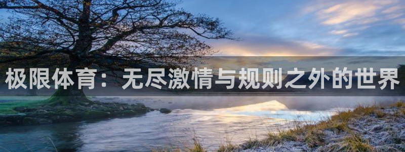 尊龙官方正版app集团简介：极限体育：无尽激情与规则之外的世