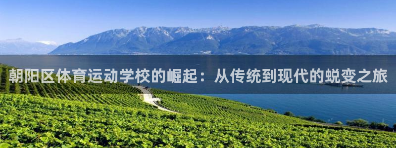尊龙官网下载招商：朝阳区体育运动学校的崛起：从传统到现代的蜕