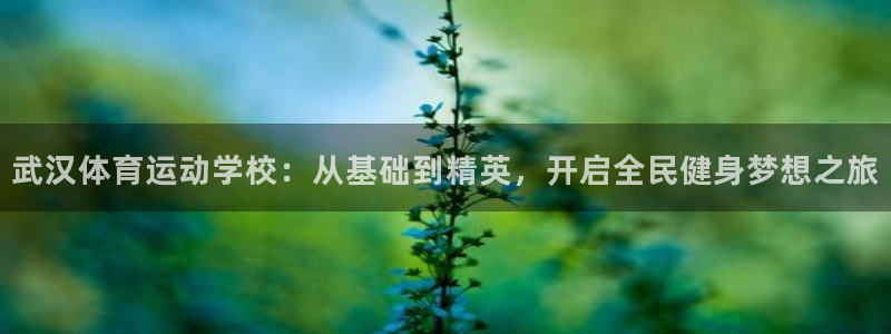 尊龙官网下载招商电话地址：武汉体育运动学校：从基础到精英，开