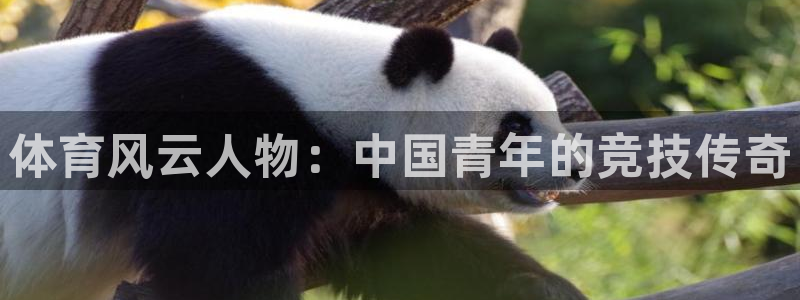 尊龙官网下载招商电话号码是多少啊