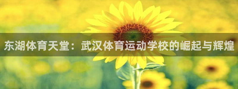 尊龙官网下载招商电话地址：东湖体育天堂：武汉体育运动学校的崛