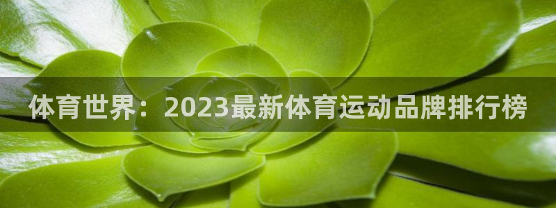 尊龙官网下载开户：体育世界：2023最新体育运动品牌