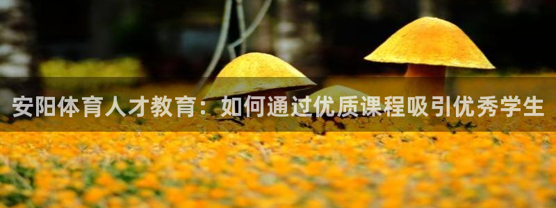 尊龙官方正版app集团官网首页：安阳体育人才教育：如何通过优