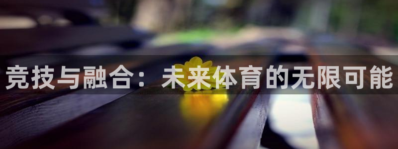 尊龙官方正版app开户