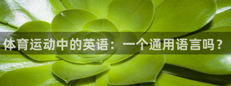 尊龙官网下载平台假的吗是真的吗吗：体育运动中的英语：一个通用