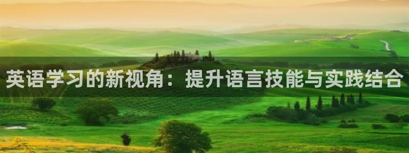 尊龙官方正版app集团官网首页网址：英语学习的新视角：提升语