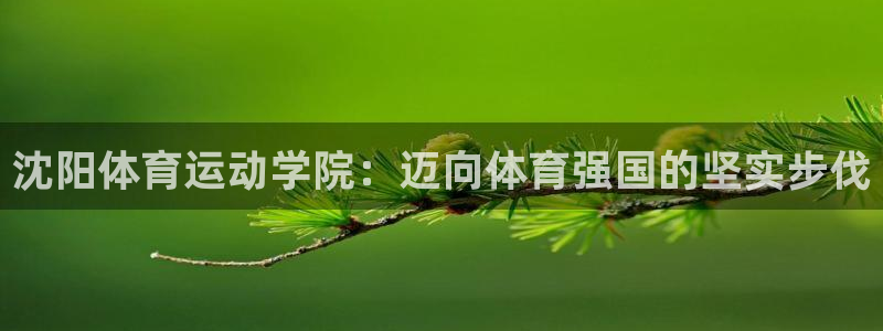 尊龙官方正版app娱乐代理怎么样：沈阳体育运动学院：迈向体育