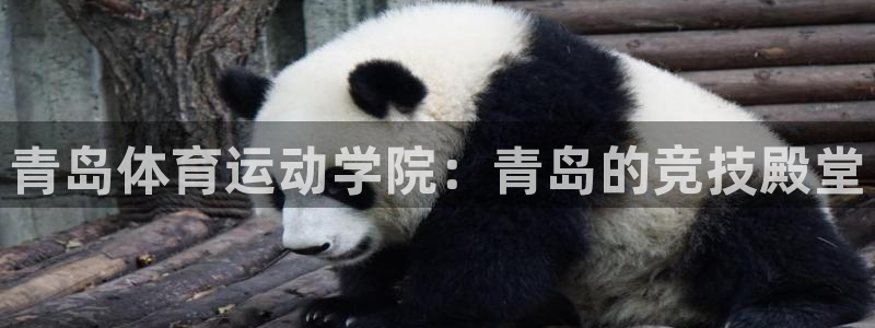 尊龙官网下载招商电话地址是多少