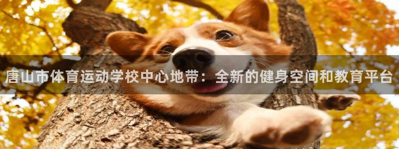 尊龙官网下载招商电话号码是多少号：唐山市体育运动学校中心地带