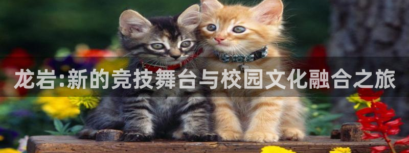 尊龙官方正版app娱乐40996：龙岩:新的竞技舞台与校园文