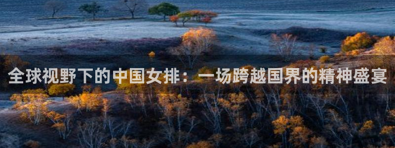 袋鼠体育直播app：全球视野下的中国女排：一场跨越国界的精神盛宴
