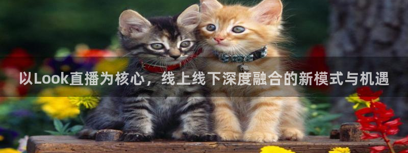 袋鼠nba体育比赛免费：以Look直播为核心，线上线下深度融合的新模式与机遇