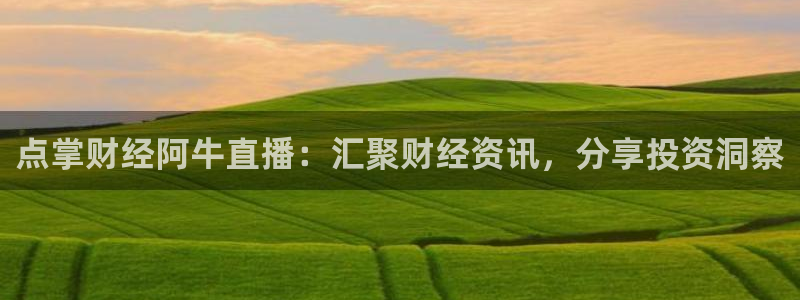 足球直播袋鼠：点掌财经阿牛直播：汇聚财经资讯，分享投资洞察