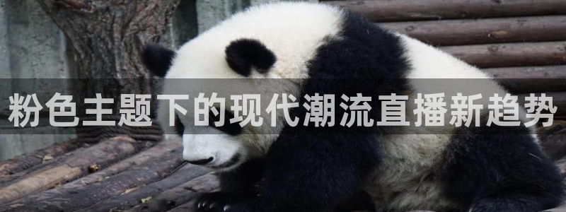 袋鼠直播篮球：粉色主题下的现代潮流直播新趋势