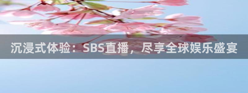 袋鼠nba体育比赛免费：沉浸式体验：SBS直播，尽享全球娱乐盛宴