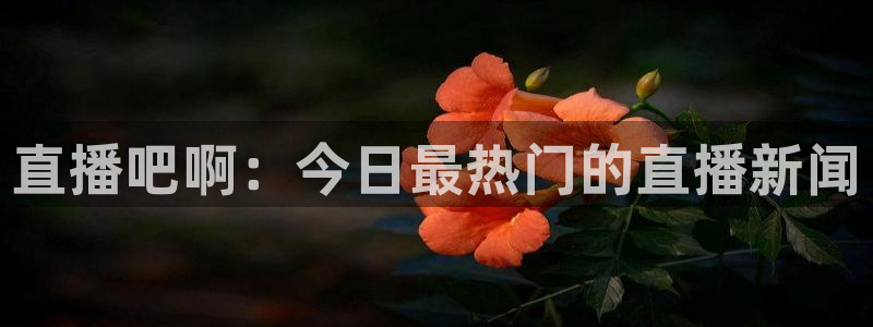 袋鼠直播体育nba直播：直播吧啊：今日最热门的直播新闻
