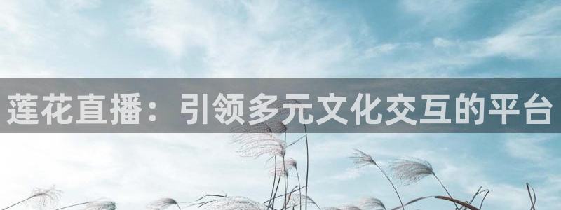 袋鼠直播nba免费观看足球：莲花直播：引领多元文化交互的平台