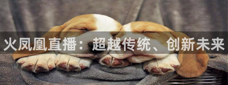 袋鼠nba体育：火凤凰直播：超越传统、创新未来