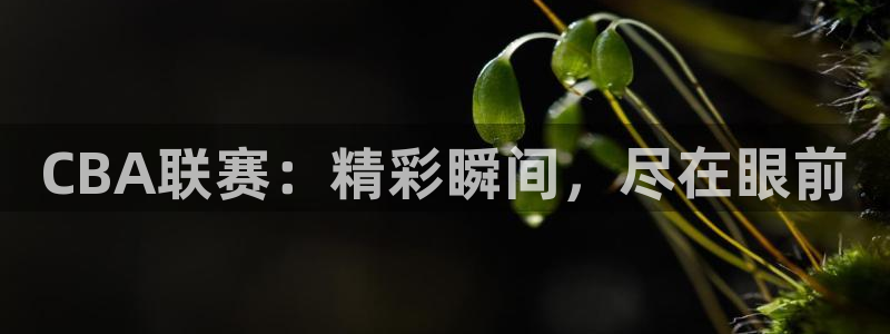 袋鼠体育在线直播：CBA联赛：精彩瞬间，尽在眼前