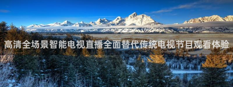 袋鼠体育免费观看：高清全场景智能电视直播全面替代传统电视节目观看体验