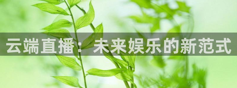 袋鼠nba体育比赛免费：云端直播：未来娱乐的新范式