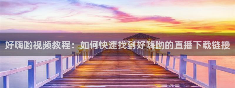 袋鼠nba体育：好嗨哟视频教程：如何快速找到好嗨哟的直播下载链接