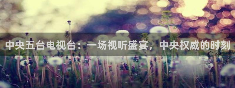 袋鼠直播体育.新网页.org：中央五台电视台：一场视听盛宴，中央权威的时刻